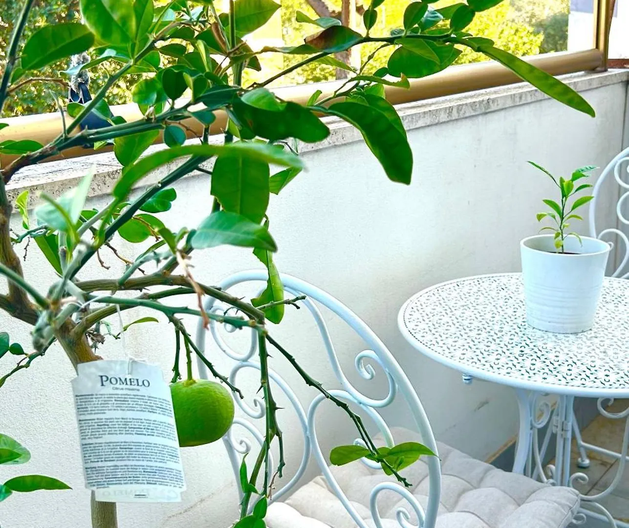 Italian Luxury Apartment Rome